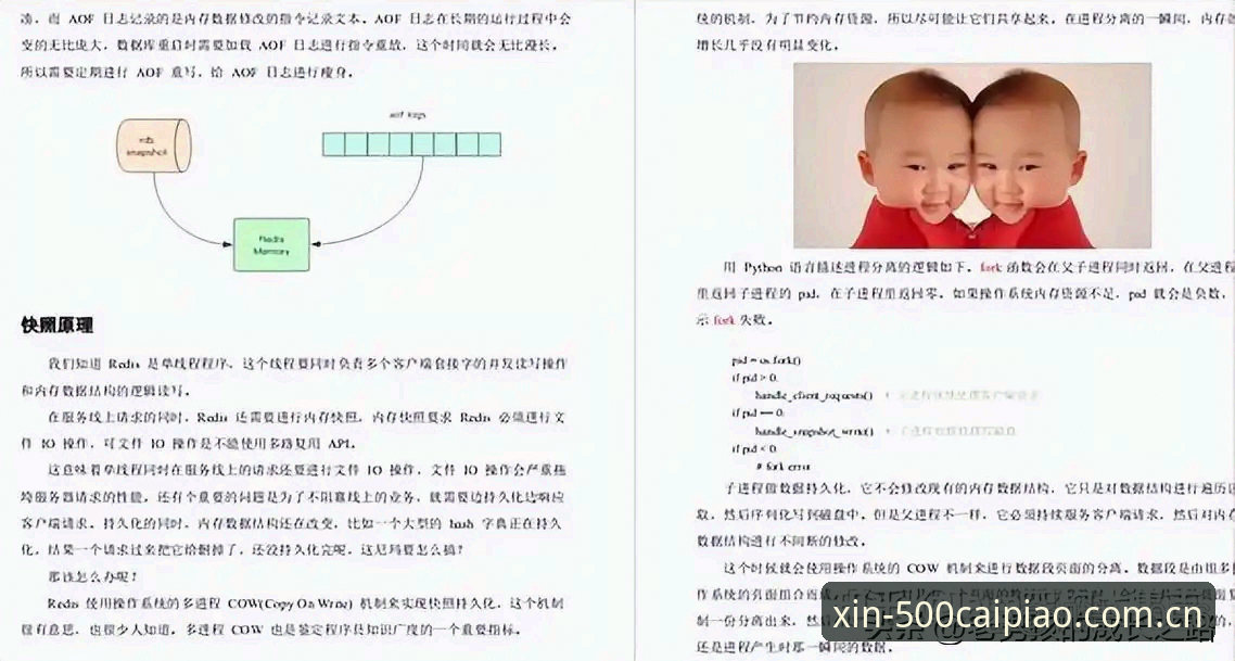 彩票娱乐中国站APP安卓登录全面解析：从原理到实操的深度指南